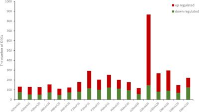 Novel Regulatory Factors in the Hypothalamic-Pituitary-Ovarian Axis of Hens at Four Developmental Stages